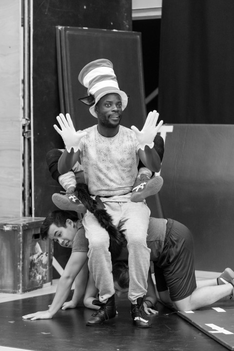 Nana Amoo-Gottfried (Cat) and Robert Penny (Thing 2). The Cat in the Hat production photographs by Manuel Harlan.